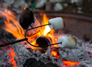 Kick the Kegs Flannel Party S’mores Kit